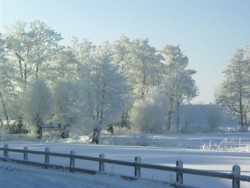 Winter in der Marsch